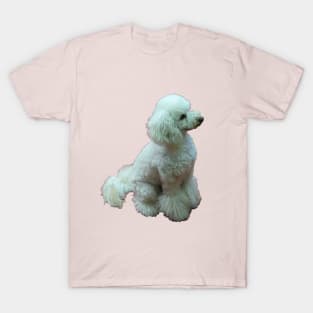 Apricot The Poodle T-Shirt